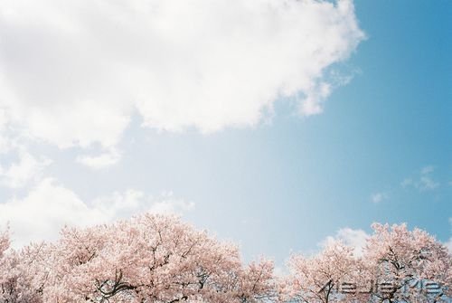 簲Z(y)һǻؑһ^m(x) (3)