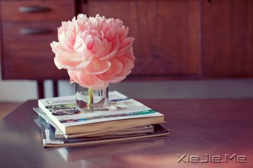 簲Z(y)˂ֻ?c)ŵĖ| (8)
