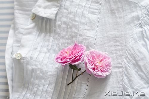 簲ZԼǽK_ʼ (7)