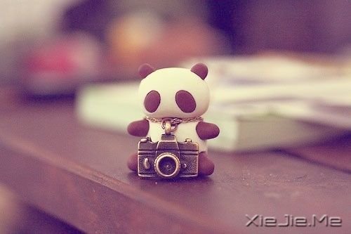 ϵDƬ (6)