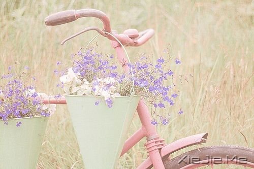 СDƬ (3)
