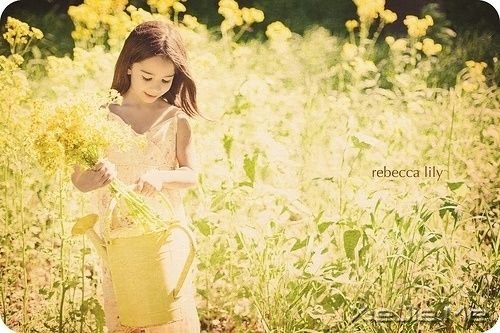 СDƬ (6)