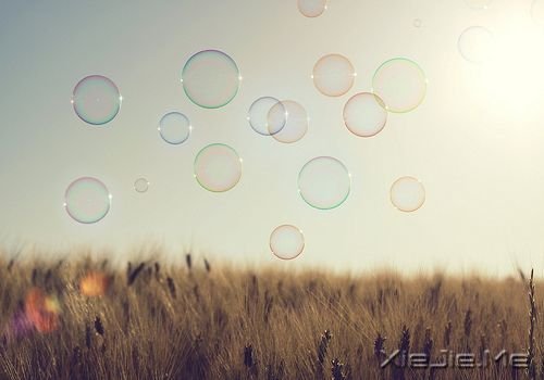 СDƬ (4)