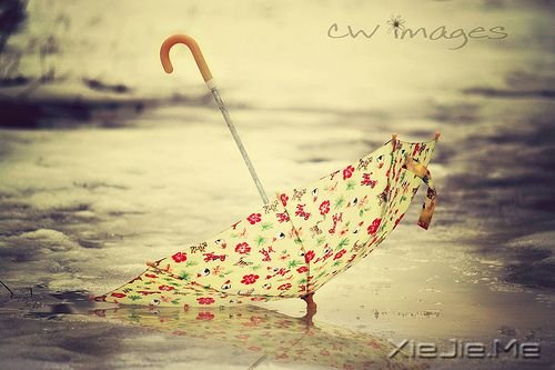 СDƬ (10)