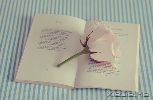 СDƬ (6)