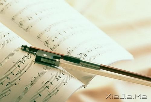 СDƬ (4)