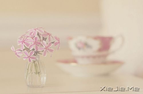СDƬ (6)