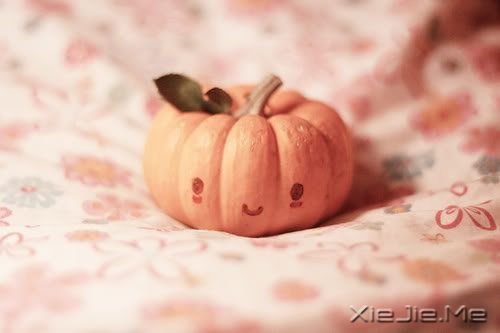 СDƬ (7)