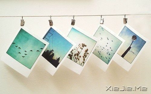 СDƬ (10)