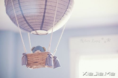 СDƬ (11)