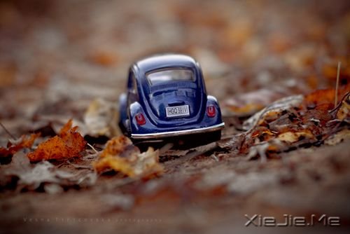 СDƬ (10)
