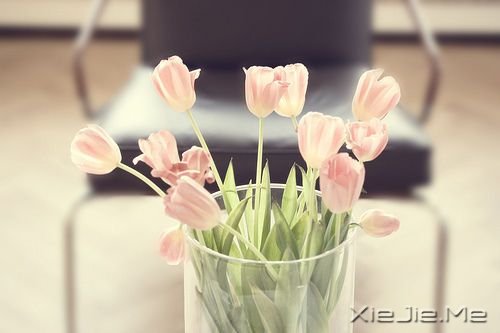 СDƬ (4)