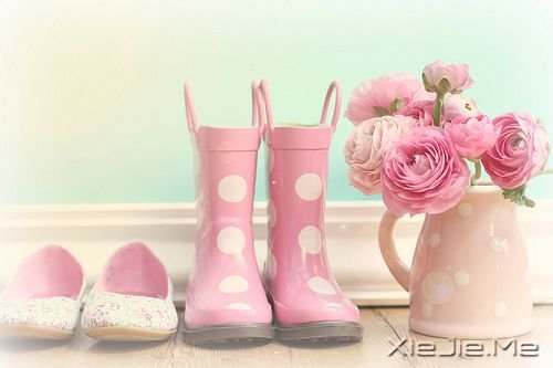 СDƬ (10)