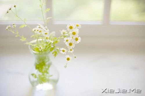 СDƬ (3)