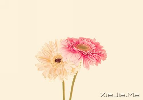 ˯տʹچҲ泯ꖹ (10)