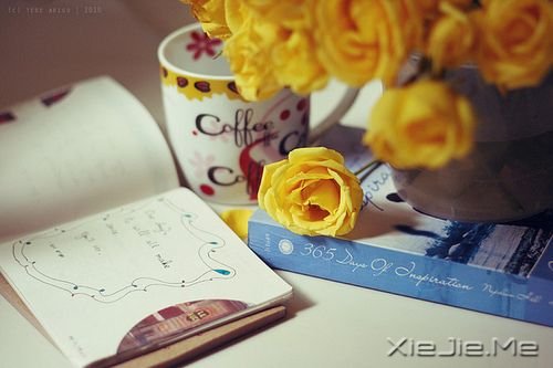 СDƬ (4)