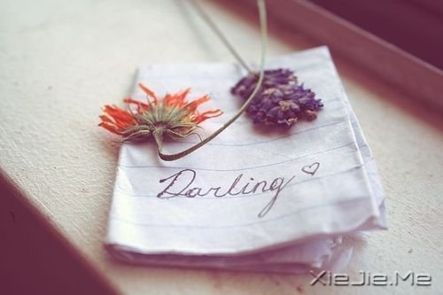 СDƬ (18)