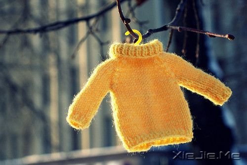 СDƬ (9)