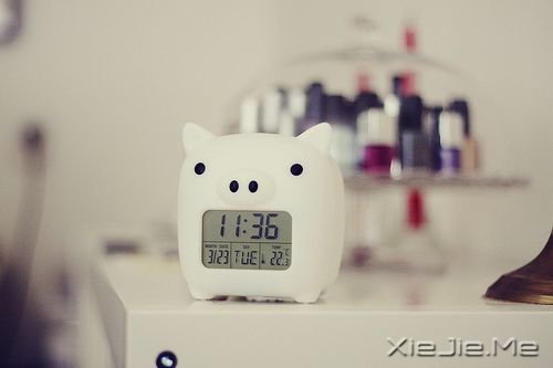 СDƬ (11)