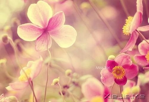 (jng)vһЩxһЩ (5)