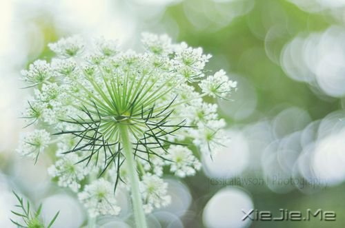 (jng)vһЩxһЩ (6)