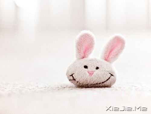 [޵ӿ^҂(yng)΢Ц (1)