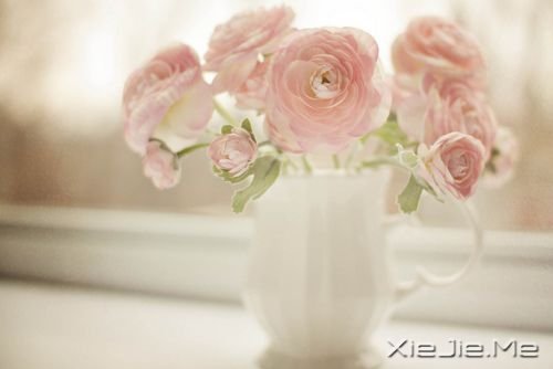 Ҳ@ôںεö (6)