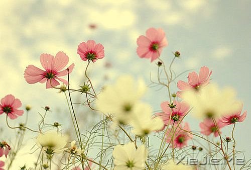 Ҳ@ôںεö (12)