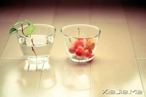 ҂һйâ (5)