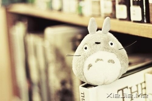 簲Z(y)ָԼD(zhun) (8)