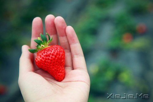簲ZһNЪ(d)^ (6)