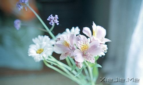Zǽ(jng)vҸ· (2)