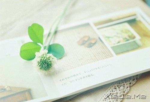 Zǽ(jng)vҸ· (8)