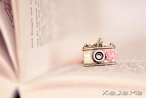 Zǽ(jng)vҸ· (10)