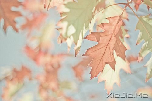簲ZҪκκĥԼ (3)