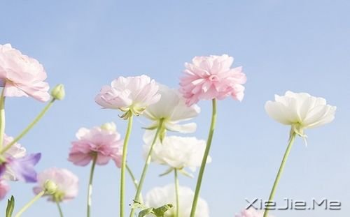 簲ZҪκκĥԼ (4)
