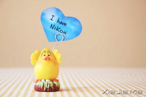 ӢZҐ㣬һ(jng) (7)