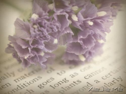 ZҸăҸ (2)