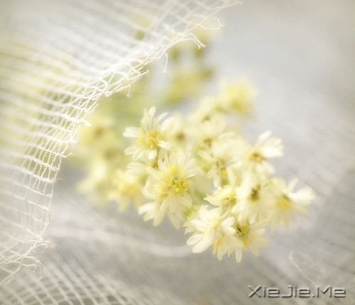 ZҸăҸ (4)