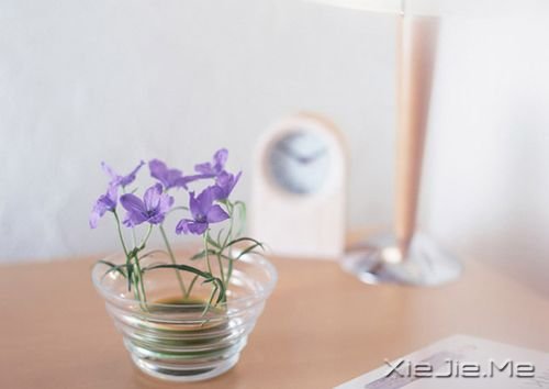 ZˣԼ (5)