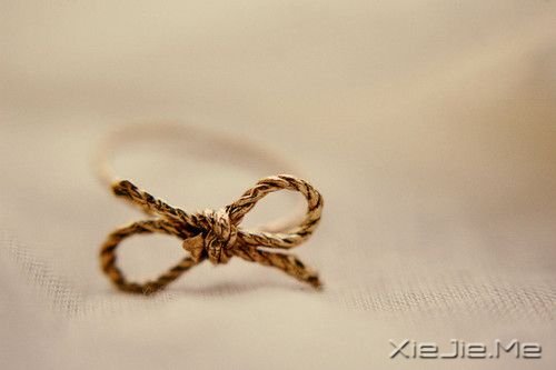 ZԼ (12)