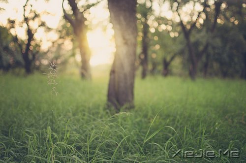 別總覺(jué)得這個(gè)世界欠你的，永遠(yuǎn)不要