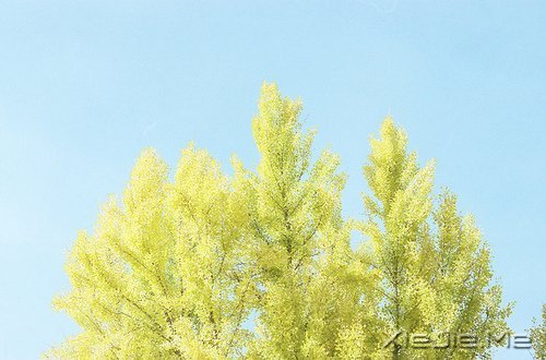 e^һҲF(xin)