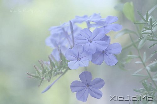 ԸסҵҲҵ