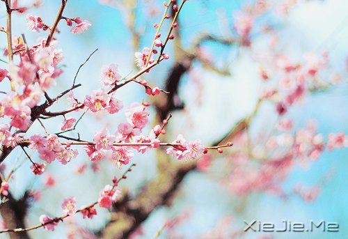 捹o(w)ՓΕr(sh)Aʢ_(ki)