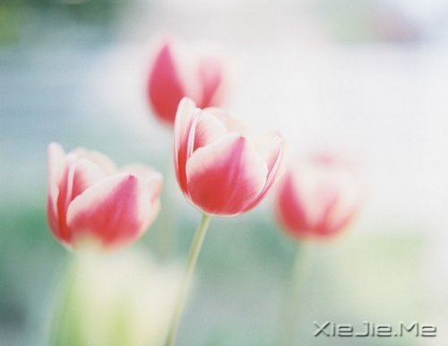 @ʮӖ|׃øӃ(yu) (2)