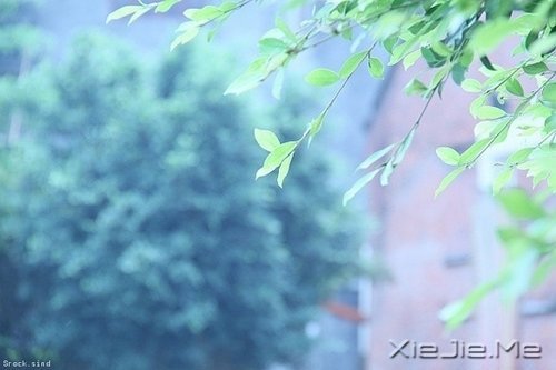 @ʮӖ|׃øӃ(yu) (5)