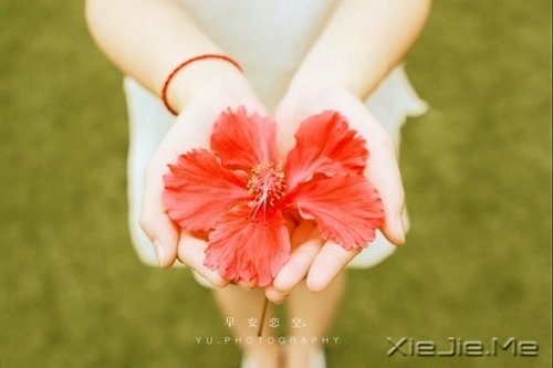 @ʮӖ|׃øӃ(yu) (7)