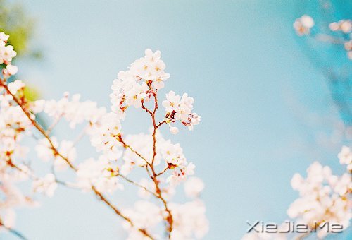201412׃Լ (12)