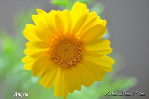 x (6)